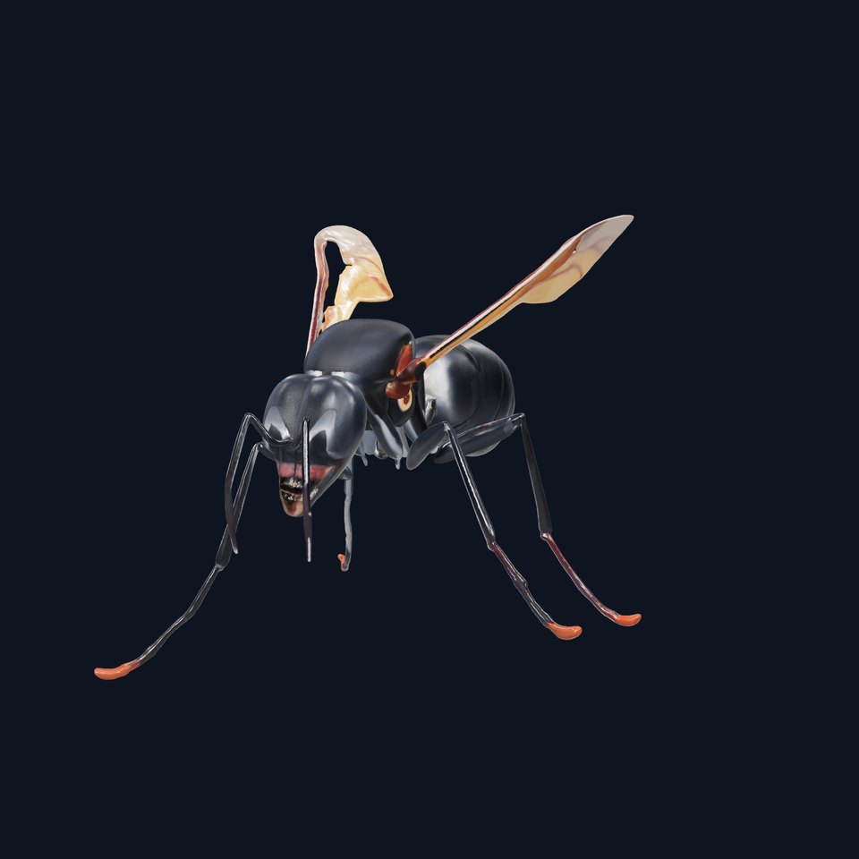 Mechanical Insect model pack